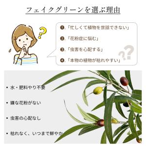 RAKU フェイクグリーン オリーブ 高さ13...の詳細画像2
