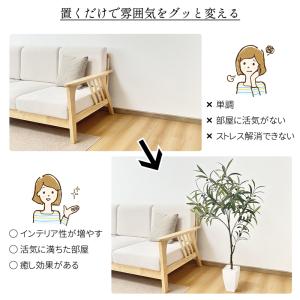 RAKU フェイクグリーン オリーブ 高さ13...の詳細画像3