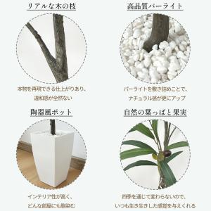 RAKU フェイクグリーン オリーブ 高さ13...の詳細画像5