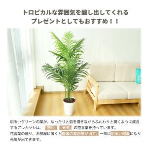 RAKU フェイクグリーン 観葉植物 アレカヤ...の詳細画像1