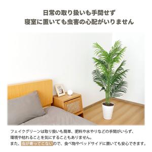 RAKU フェイクグリーン 観葉植物 アレカヤ...の詳細画像3