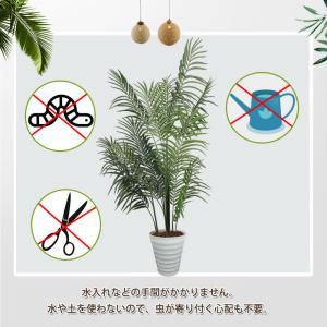 RAKU フェイクグリーン 観葉植物 アレカヤ...の詳細画像4