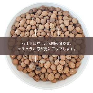 RAKU フェイクグリーン 観葉植物 アレカヤ...の詳細画像5