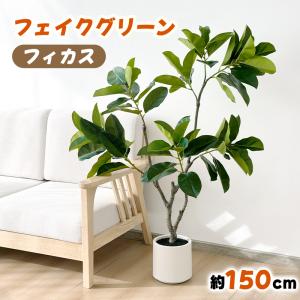 RAKU フィカス フェイクグリーン 高さ約15...の商品画像