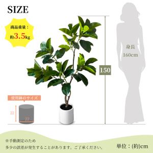 RAKU フィカス フェイクグリーン 高さ約1...の詳細画像3