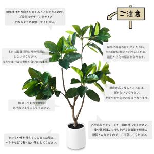 RAKU フィカス フェイクグリーン 高さ約1...の詳細画像5