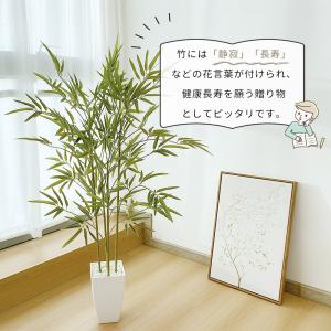 RAKU フェイクグリーン 竹 120cm リ...の詳細画像1