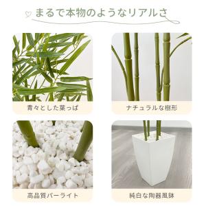 RAKU フェイクグリーン 竹 120cm リ...の詳細画像3
