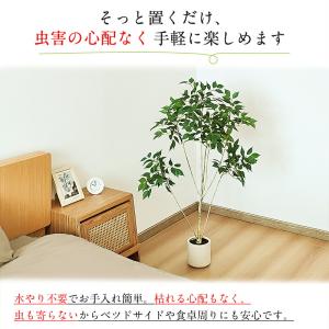 RAKU ベンジャミン フェイクグリーン 高さ...の詳細画像4