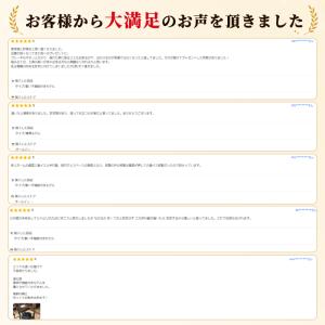 【年間ランキング1位】1000円クーポン標準⇒...の詳細画像3