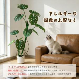 RAKU モンステラ フェイクグリーン 大型 ...の詳細画像3