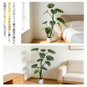 RAKU モンステラ フェイクグリーン 大型 ...の詳細画像5