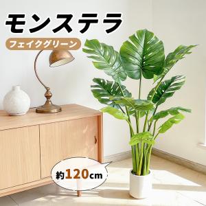 RAKU モンステラ フェイクグリーン 高さ約...の詳細画像1
