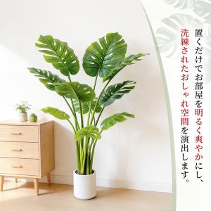 RAKU モンステラ フェイクグリーン 高さ約...の詳細画像2