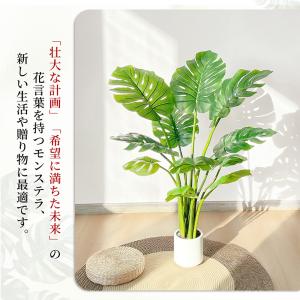 RAKU モンステラ フェイクグリーン 高さ約...の詳細画像3