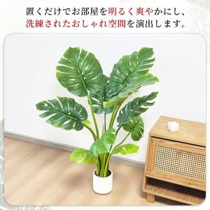 RAKU モンステラ フェイクグリーン 高さ約...の詳細画像5