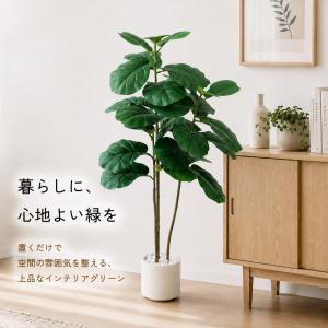 【限定5%OFFクーポン】RAKU 人工観葉植...の詳細画像1