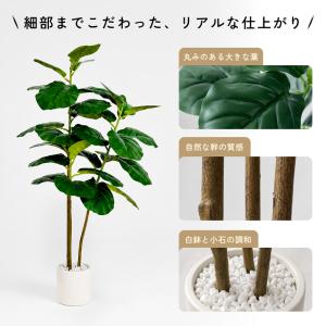 【限定5%OFFクーポン】RAKU 人工観葉植...の詳細画像3