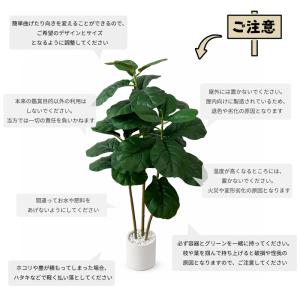 【限定5%OFFクーポン】RAKU 人工観葉植...の詳細画像5