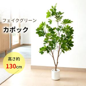 【限定5%OFFクーポン】 RAKU シェフレラ...の商品画像