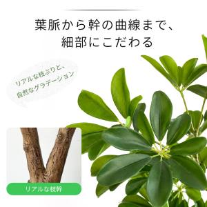 【限定5%OFFクーポン】 RAKU シェフレ...の詳細画像2