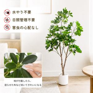 【限定5%OFFクーポン】 RAKU シェフレ...の詳細画像3
