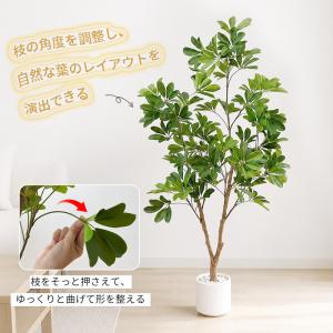 【限定5%OFFクーポン】 RAKU シェフレ...の詳細画像4