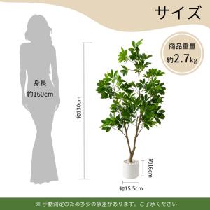 【限定5%OFFクーポン】 RAKU シェフレ...の詳細画像5