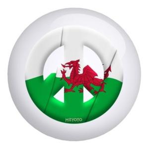 【並行輸入品】Bowlerstore Products Wales Meyoto旗 ボウリングボール (8ポンド) Bowlerstore Pr