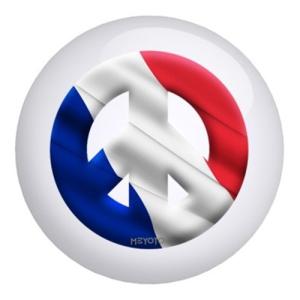 【並行輸入品】フランスメヨト国旗ボーリングボール France Meyoto Flag Bowling Ball (16lbs)