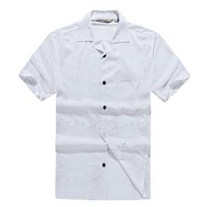 【並行輸入品】[Hawaii Hangover...の詳細画像4