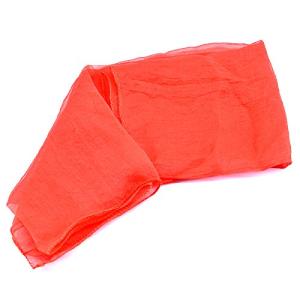 【並行輸入品】SUMAG Silk Thru ...の詳細画像5