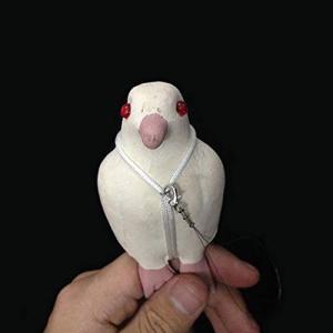【並行輸入品】Enjoyer Invisible Dove Harness Rope Version Magic Tricks Bag C