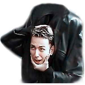 【並行輸入品】SUMAG Head Shift...の詳細画像2