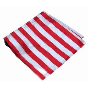【並行輸入品】Stripe Flip Magic...の商品画像