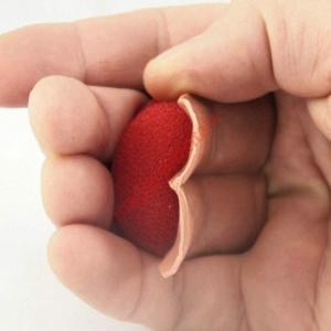 【並行輸入品】Sanada Gimmick Magic Tricks パーティートリック、素晴らしいトリック、マジックキット、クローズアップマジ