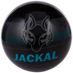 Motiv Jackal Pixel スペアボーリングボール ブラック/アクア 14ポンド On The Ball Bowling 並行輸入品｜allinone-d