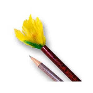 【並行輸入品】Pencil to Flower...の詳細画像1