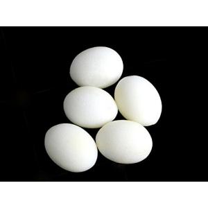 【並行輸入品】SUMAG 10 Pcs/lot...の詳細画像2