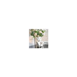 【並行輸入品】バスト 花瓶 モダン 抽象 顔 ...の詳細画像5