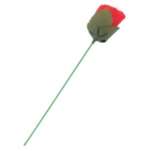 【並行輸入品】Fdit Flame Appea...の詳細画像3