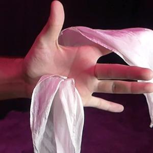 【並行輸入品】ZQION The Silk Magic Tricks Silk Pass The Hand Magic for Magicia