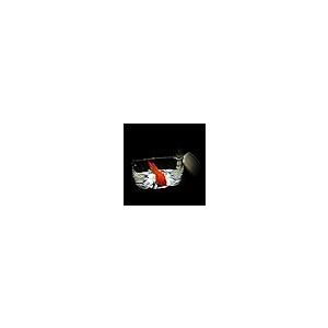 【並行輸入品】SUMAG Ultimate F...の詳細画像1
