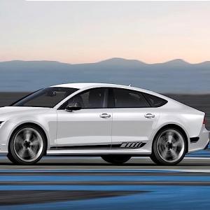 【並行輸入品】QUNINE車のドアの側面の競争...の詳細画像4