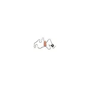 【並行輸入品】Magic Tricks Fin...の詳細画像4