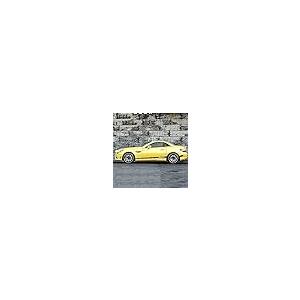 【並行輸入品】2 PCS車のドアの側面の縞のス...の詳細画像5