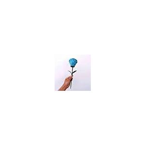 【並行輸入品】blue ther Rainbo...の詳細画像2