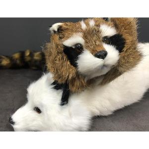 【並行輸入品】Blue ther Spring...の詳細画像4