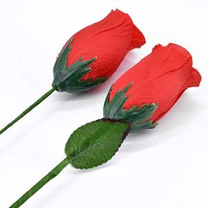 【並行輸入品】MOMOMAGE Rose Splitting/One Flower to Two Magic Tricks Funny Sta