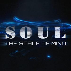 【並行輸入品】blue ther Soul T...の詳細画像4